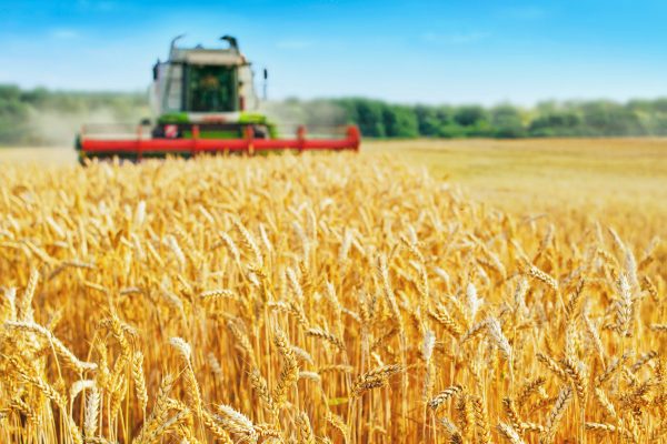 KD föreslår krispaket för jordbruket: ”Regeringen bör snabbt ta till åtgärder för att rädda jordbruket”