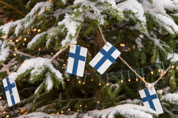 Sari Essayah välikysymyspuheessa: ”Hallitus valmis myymään päätösvallan Suomen metsistä EU:lle”