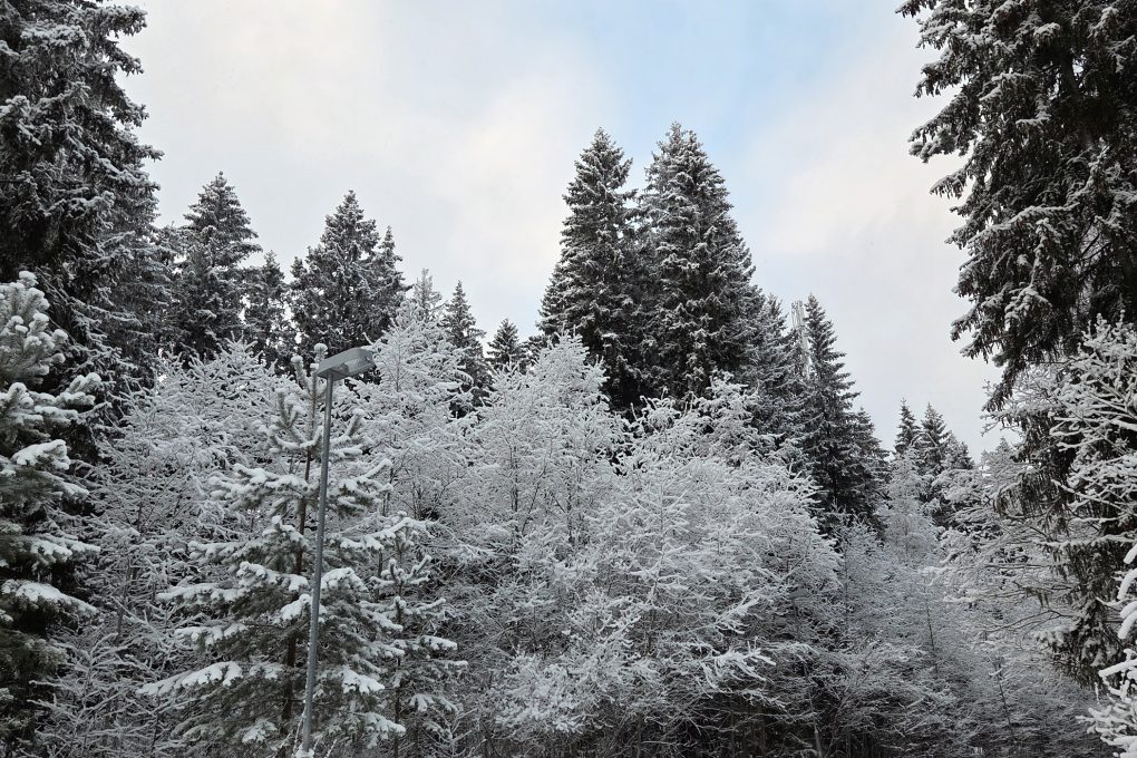 Ystävänpäivätapahtuma 14.2 Rauhalahden nuottakodalla